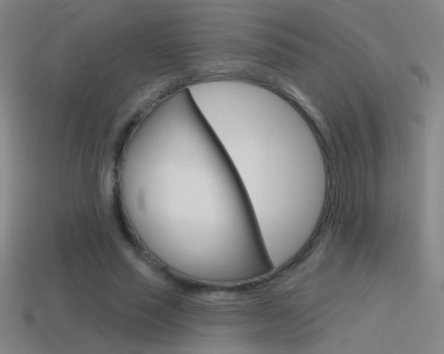 X0000114570637200910191034