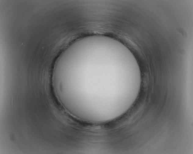 X0000114570639200910191034