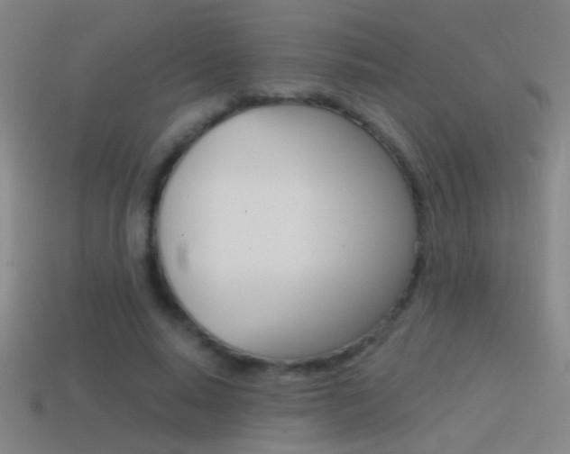 X0000114570640200910191034