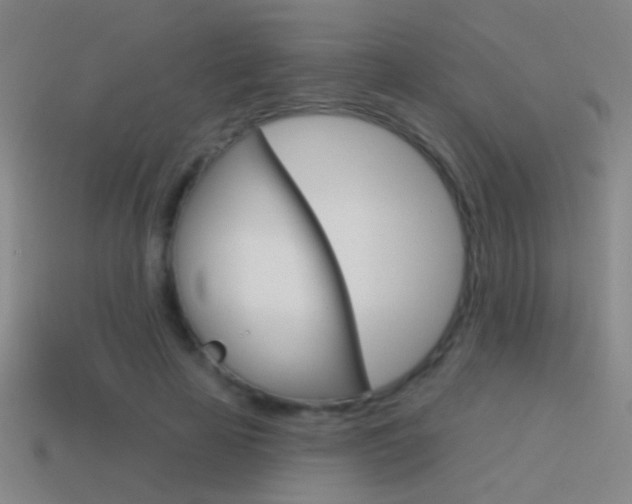 X0000114570641200910191034