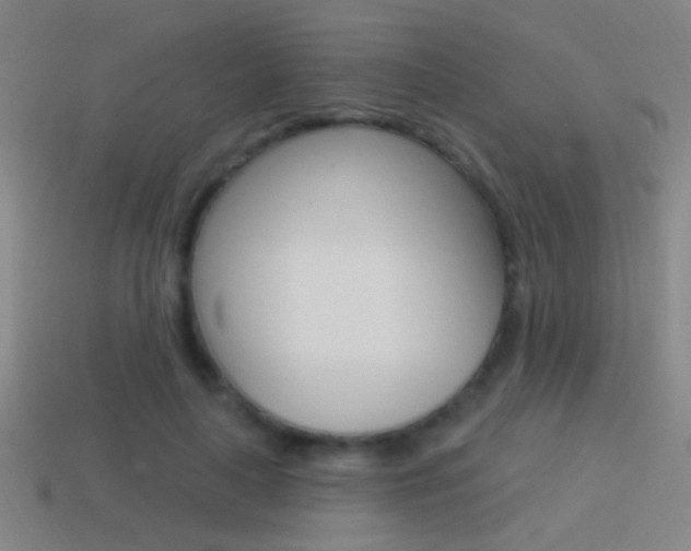 X0000114570643200910191034