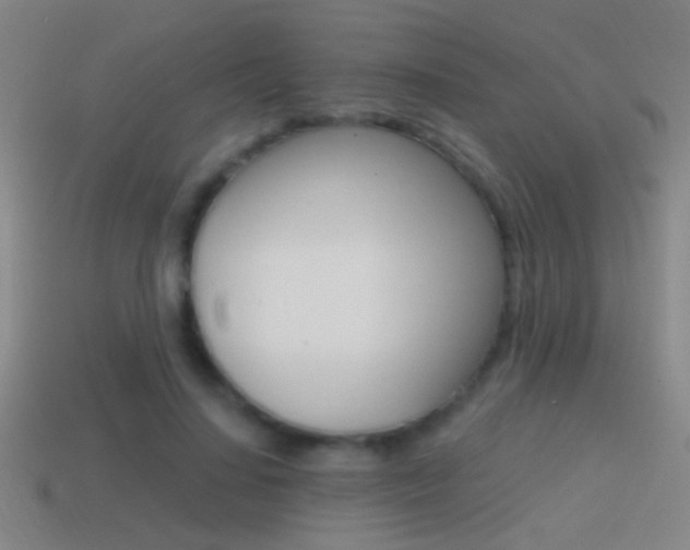 X0000114570644200910191034