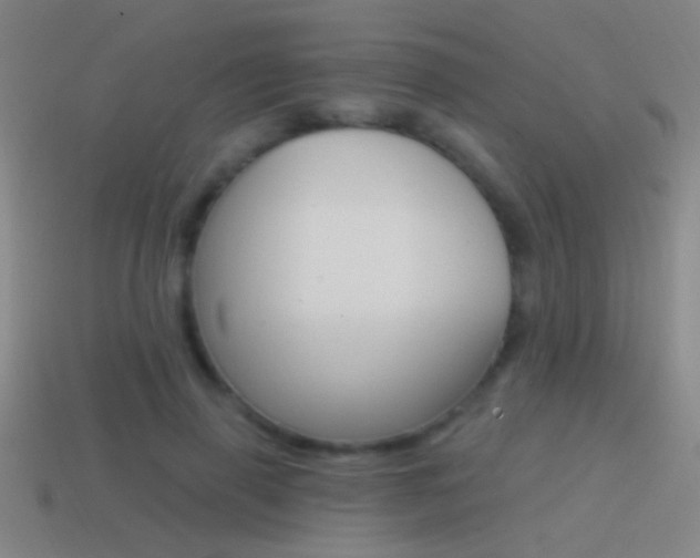 X0000114570645200910191034
