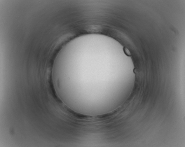 X0000114570652200910191034