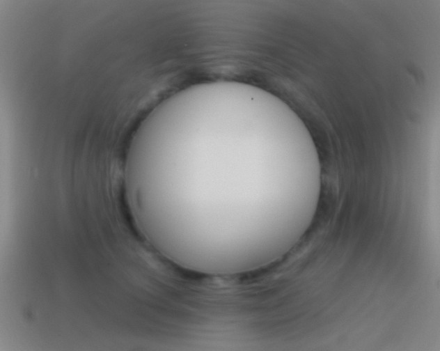 X0000114570660200910191034