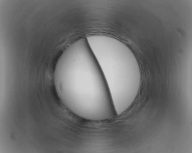 X0000114570661200910191034