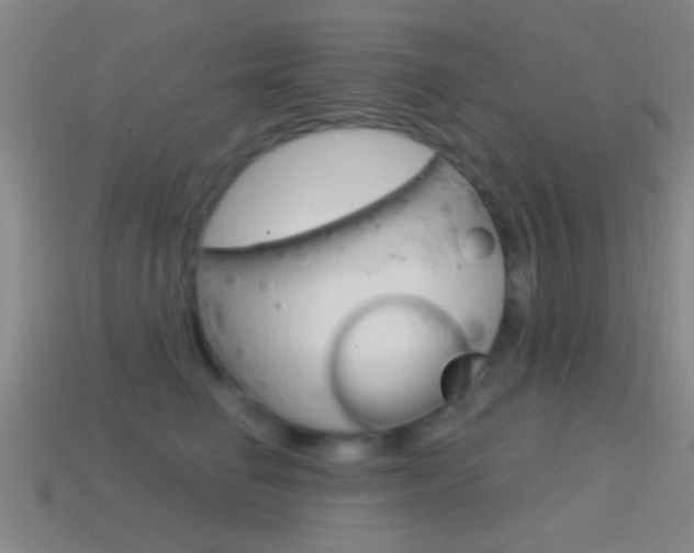 X0000114570662200910191034
