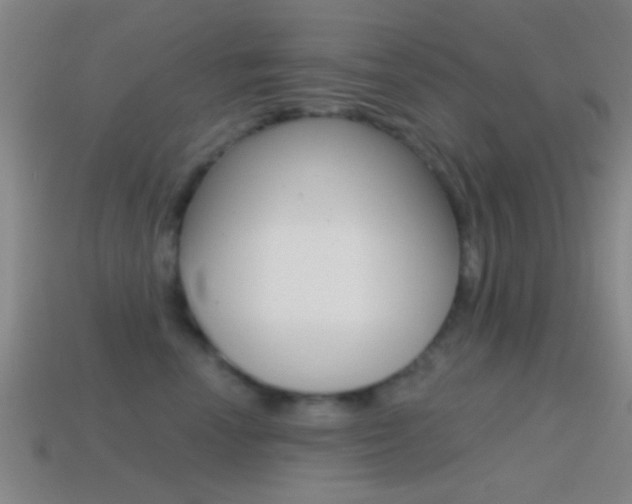 X0000114570666200910191034
