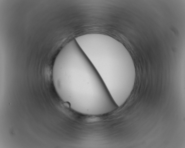 X0000114570669200910191034