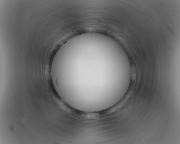 X0000114570670200910191034