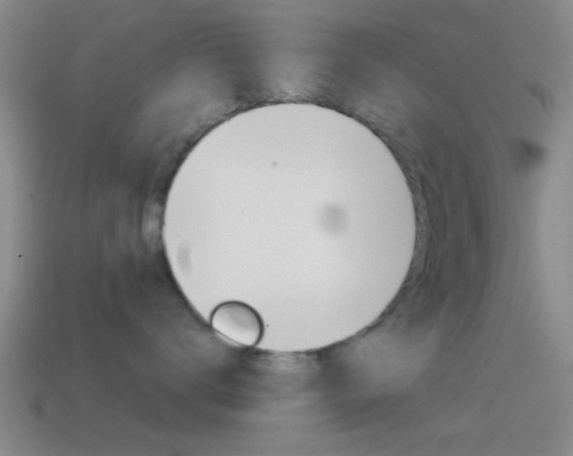 X0000114570672200910191034