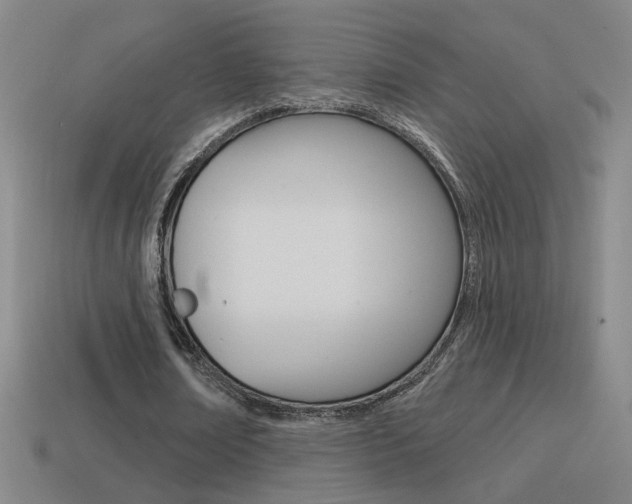 X0000114570674200910191034