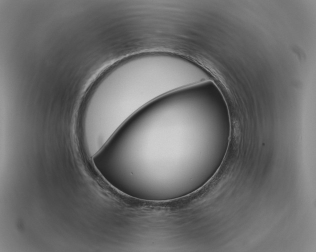 X0000114570676200910191034