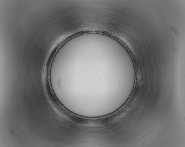 X0000114570678200910191034