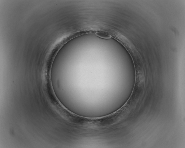 X0000114570680200910191034