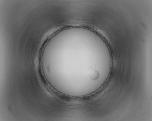 X0000114570682200910191034