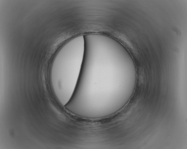 X0000114570683200910191034