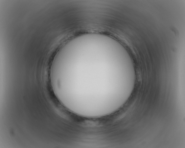 X0000114570690200910191034