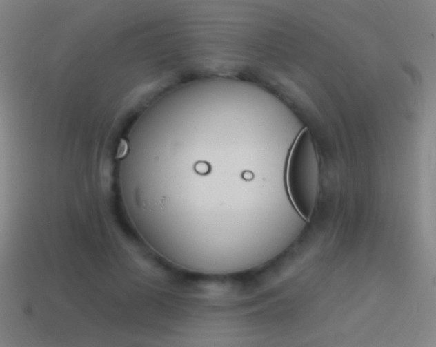 X0000114570693200910191034