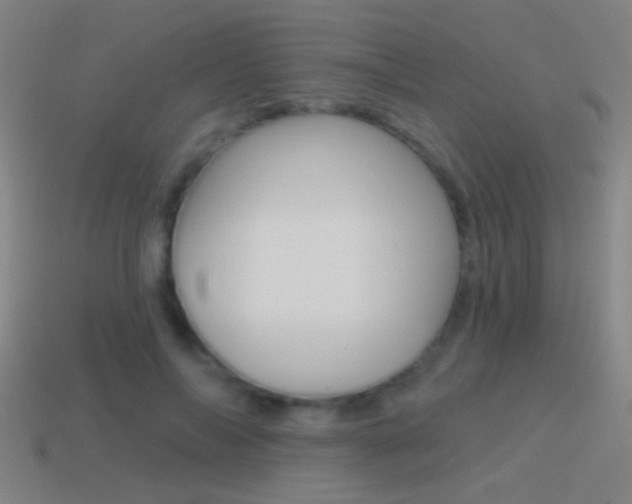 X0000114570694200910191034