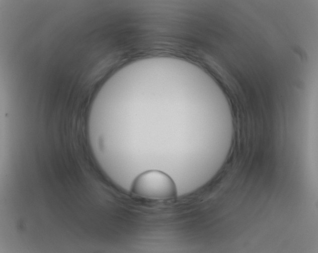 X0000114570696200910191034
