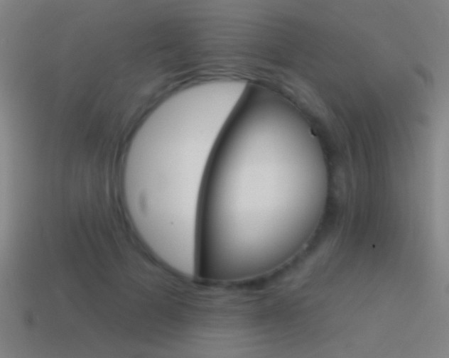 X0000114570697200910191034