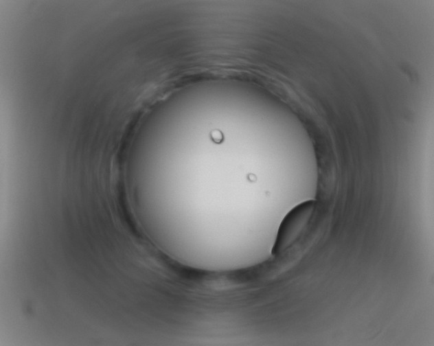 X0000114570704200910191033