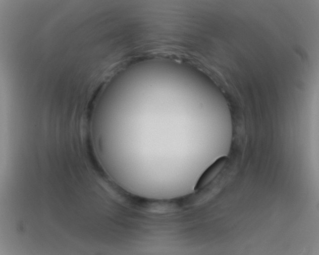 X0000114570708200910191033