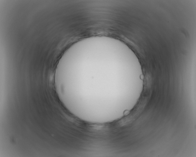X0000114570709200910191033