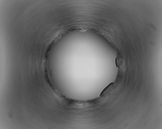 X0000114570712200910191033