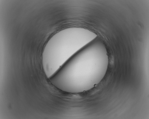 X0000114570715200910191033