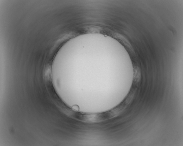 X0000114570717200910191033
