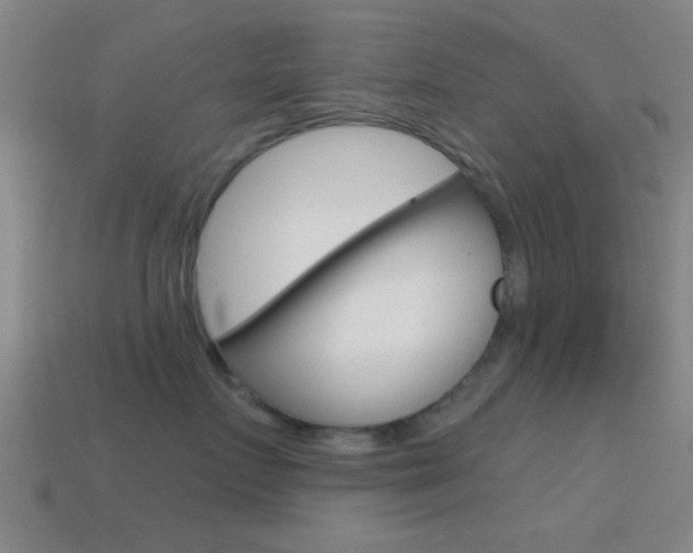 X0000114570719200910191033