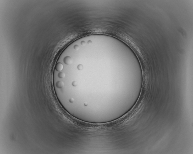 X0000114570721200910191033