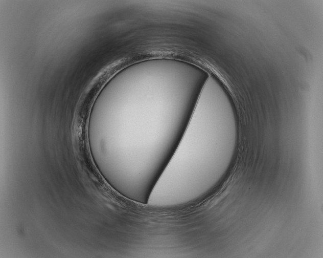 X0000114570723200910191033