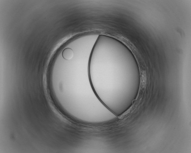 X0000114570726200910191033