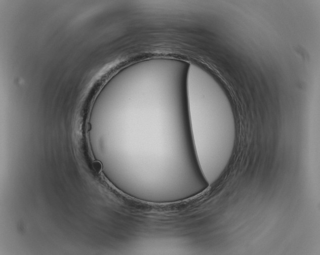 X0000114570727200910191033