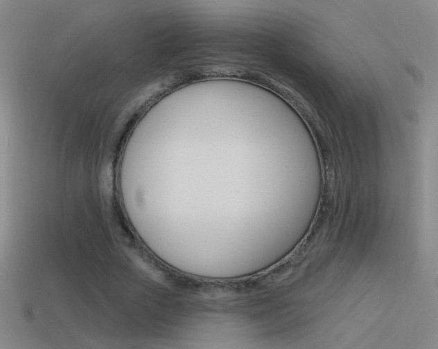X0000114570729200910191033