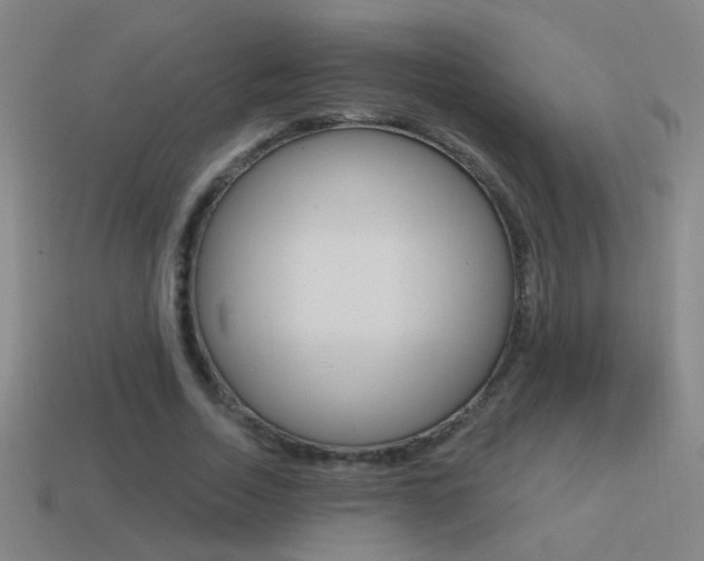 X0000114570730200910191033