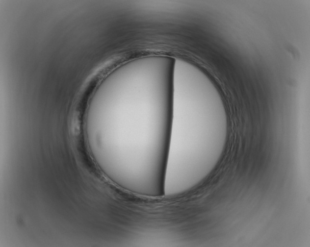 X0000114570731200910191033
