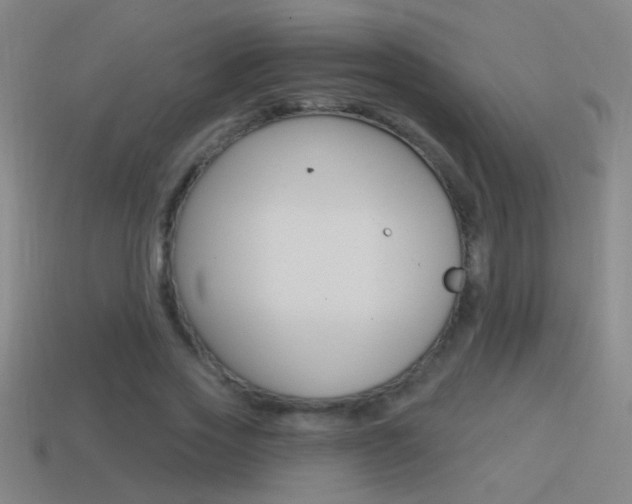 X0000114570733200910191033