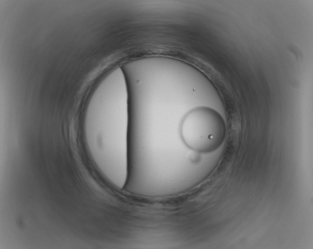 X0000114570734200910191033