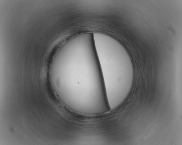 X0000114570735200910191033