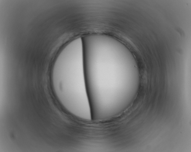 X0000114570738200910191033