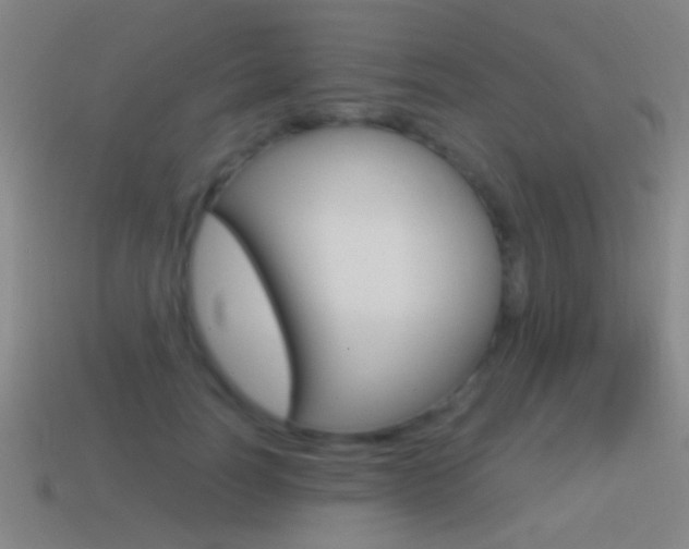 X0000114570746200910191033