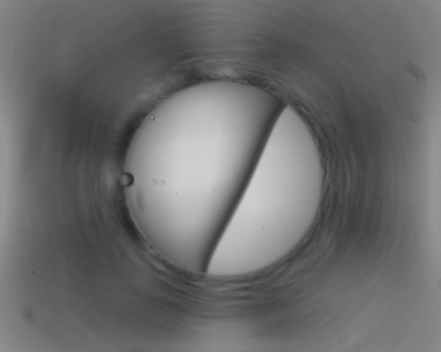 X0000114570747200910191033