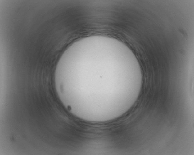 X0000114570750200910191033