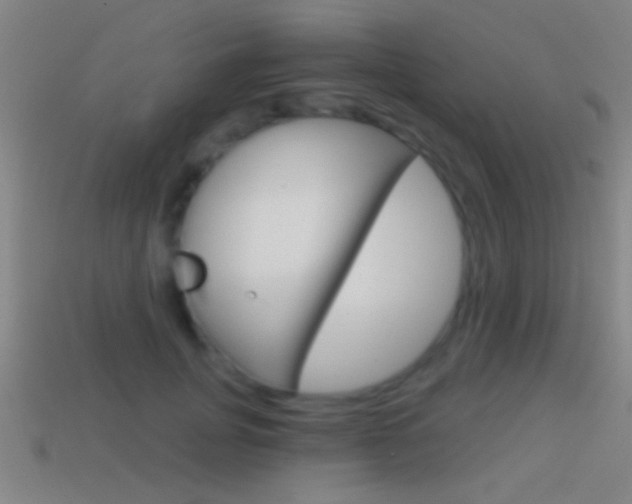 X0000114570751200910191033