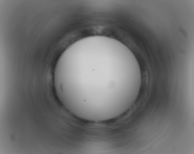 X0000114570754200910191033