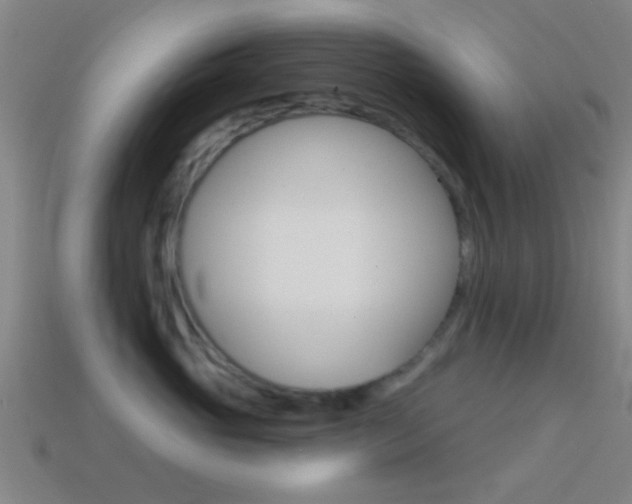 X0000114570765200910191033